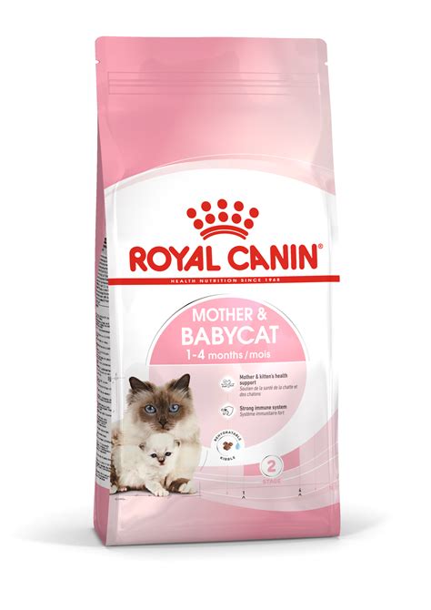 母貓帶小貓|Royal Canin Taiwan